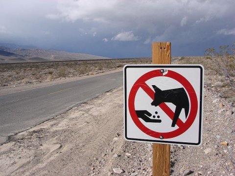 Kliknij na zdjęcie, żeby zobaczyć w pełnych wymiarach