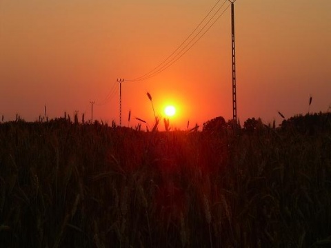 Kliknij na zdjęcie, żeby zobaczyć w pełnych wymiarach