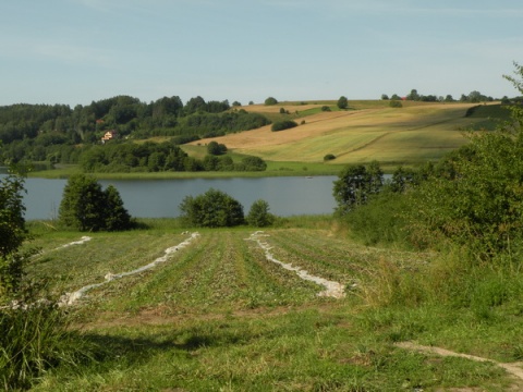 Kliknij na zdjęcie, żeby zobaczyć w pełnych wymiarach