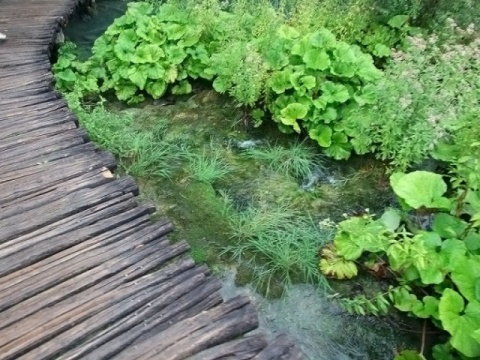 Kliknij na zdjęcie, żeby zobaczyć w pełnych wymiarach