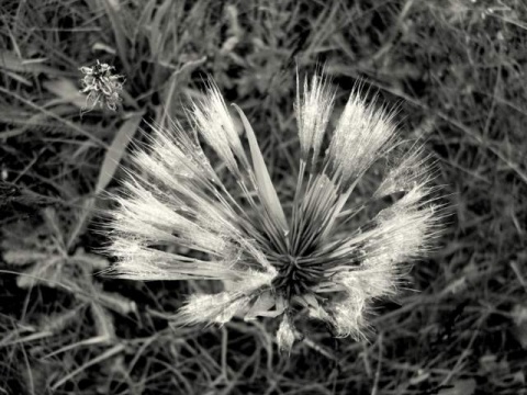Kliknij na zdjęcie, żeby zobaczyć w pełnych wymiarach