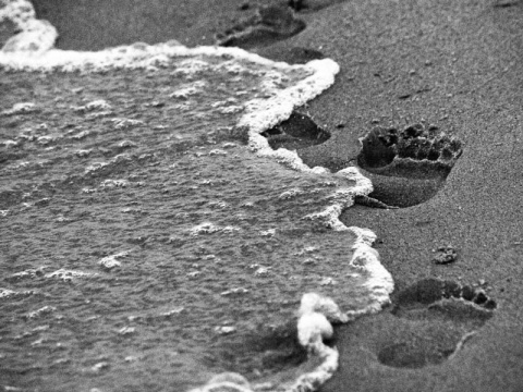 Kliknij na zdjęcie, żeby zobaczyć w pełnych wymiarach