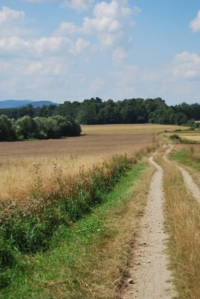 Kliknij na zdjęcie, żeby zobaczyć w pełnych wymiarach