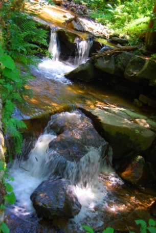 Kliknij na zdjęcie, żeby zobaczyć w pełnych wymiarach