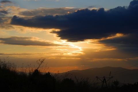 Kliknij na zdjęcie, żeby zobaczyć w pełnych wymiarach