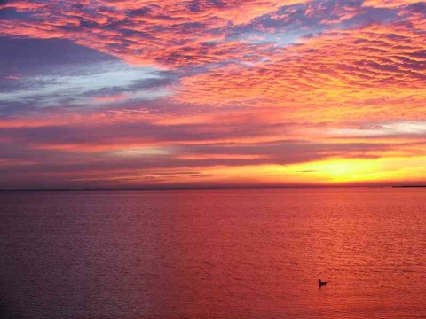 Kliknij na zdjęcie, żeby zobaczyć w pełnych wymiarach