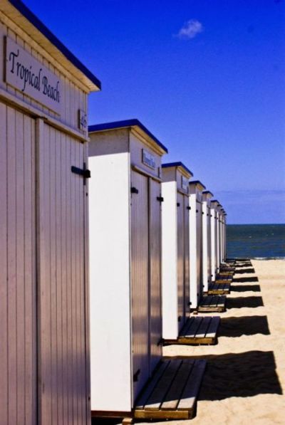 Kliknij na zdjęcie, żeby zobaczyć w pełnych wymiarach