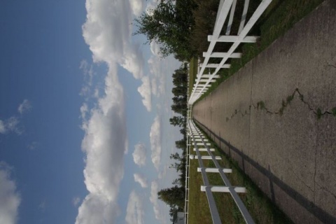 Kliknij na zdjęcie, żeby zobaczyć w pełnych wymiarach