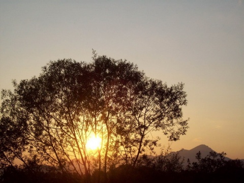 Kliknij na zdjęcie, żeby zobaczyć w pełnych wymiarach