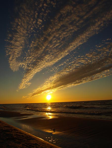 Kliknij na zdjęcie, żeby zobaczyć w pełnych wymiarach