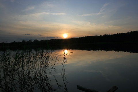 Kliknij na zdjęcie, żeby zobaczyć w pełnych wymiarach