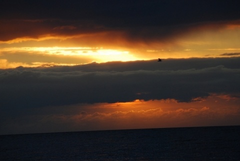 Kliknij na zdjęcie, żeby zobaczyć w pełnych wymiarach