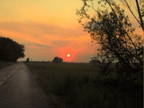 Kliknij na zdjęcie, żeby zobaczyć w pełnych wymiarach