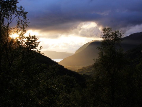 Kliknij na zdjęcie, żeby zobaczyć w pełnych wymiarach