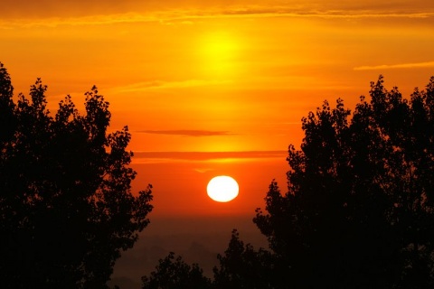 Kliknij na zdjęcie, żeby zobaczyć w pełnych wymiarach