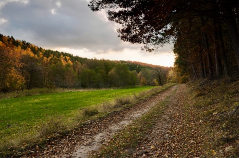 Kliknij na zdjęcie, żeby zobaczyć w pełnych wymiarach