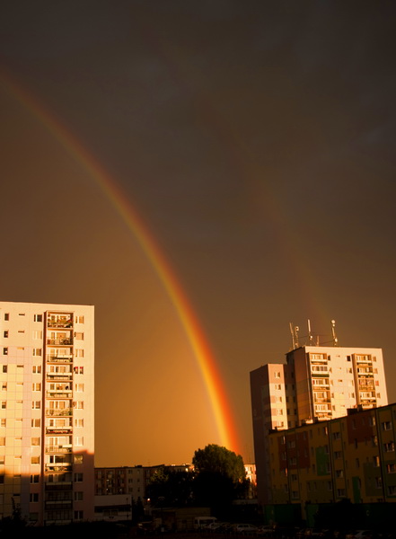 Kliknij na zdjęcie, żeby zobaczyć w pełnych wymiarach