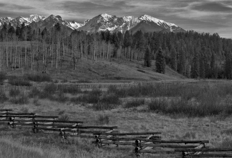 Kliknij na zdjęcie, żeby zobaczyć w pełnych wymiarach