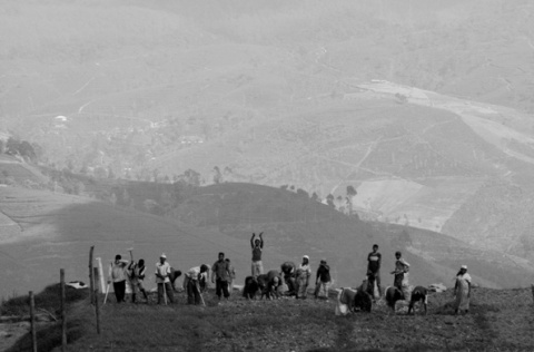 Kliknij na zdjęcie, żeby zobaczyć w pełnych wymiarach