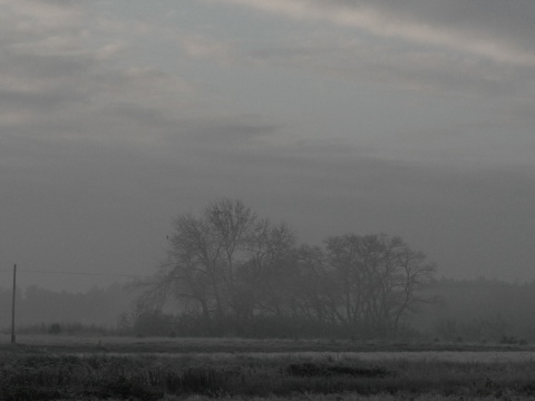 Kliknij na zdjęcie, żeby zobaczyć w pełnych wymiarach