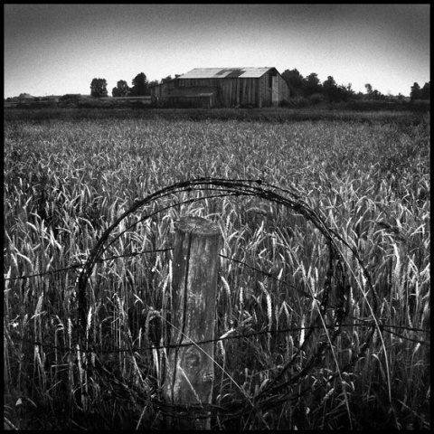 Kliknij na zdjęcie, żeby zobaczyć w pełnych wymiarach