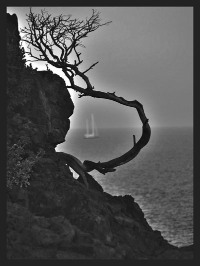 Kliknij na zdjęcie, żeby zobaczyć w pełnych wymiarach