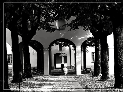 Kliknij na zdjęcie, żeby zobaczyć w pełnych wymiarach