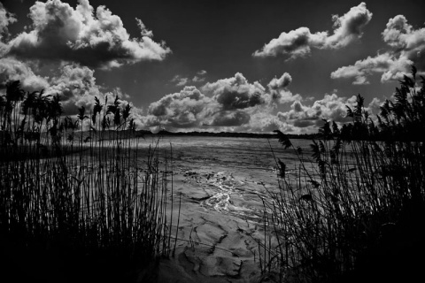 Kliknij na zdjęcie, żeby zobaczyć w pełnych wymiarach