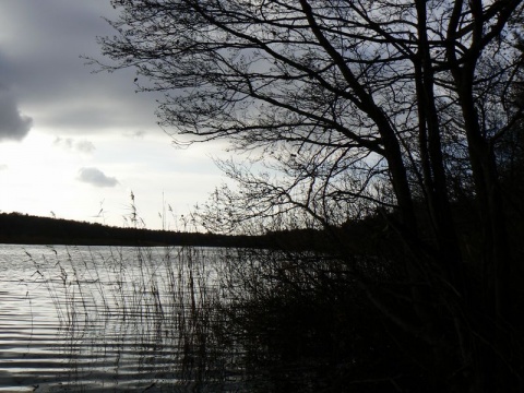 Kliknij na zdjęcie, żeby zobaczyć w pełnych wymiarach