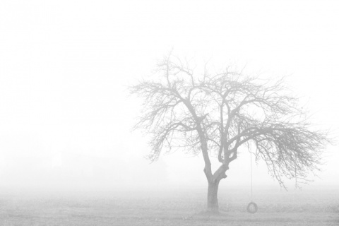 Kliknij na zdjęcie, żeby zobaczyć w pełnych wymiarach