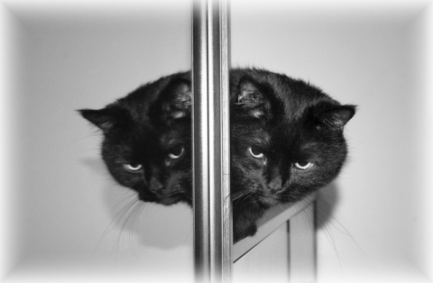 Kliknij na zdjęcie, żeby zobaczyć w pełnych wymiarach