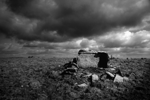 Kliknij na zdjęcie, żeby zobaczyć w pełnych wymiarach