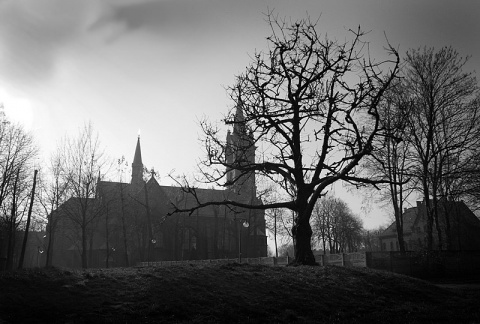 Kliknij na zdjęcie, żeby zobaczyć w pełnych wymiarach