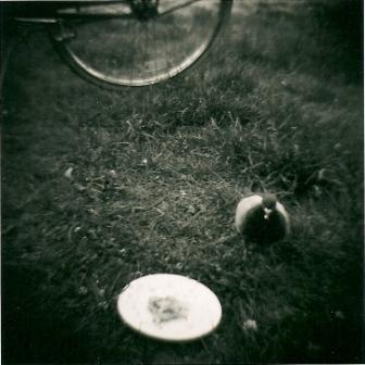 Kliknij na zdjęcie, żeby zobaczyć w pełnych wymiarach