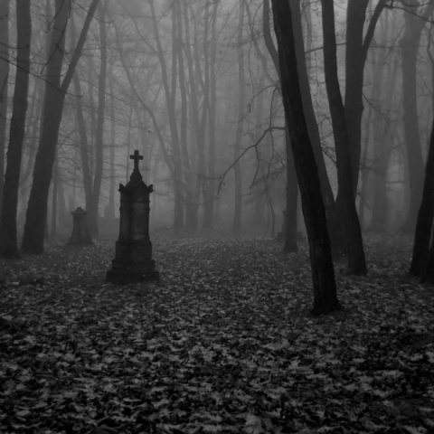 Kliknij na zdjęcie, żeby zobaczyć w pełnych wymiarach