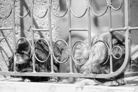 Kliknij na zdjęcie, żeby zobaczyć w pełnych wymiarach