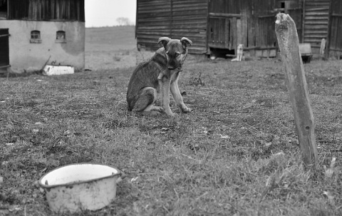 Kliknij na zdjęcie, żeby zobaczyć w pełnych wymiarach