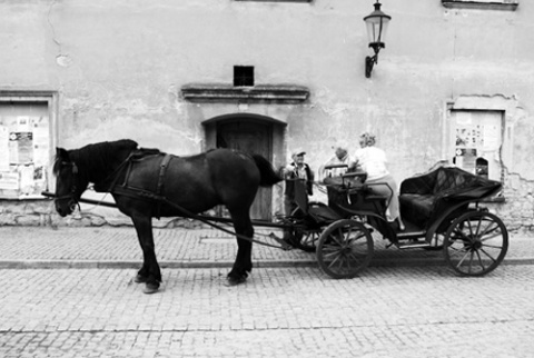 Kliknij na zdjęcie, żeby zobaczyć w pełnych wymiarach