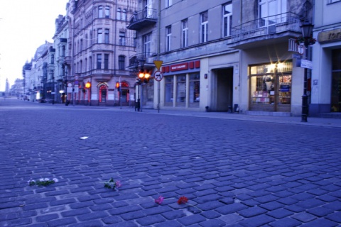 Kliknij na zdjęcie, żeby zobaczyć w pełnych wymiarach