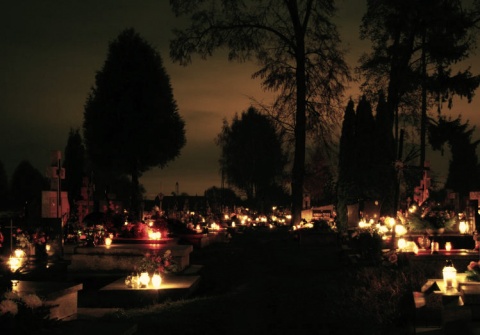 Kliknij na zdjęcie, żeby zobaczyć w pełnych wymiarach