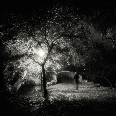 Kliknij na zdjęcie, żeby zobaczyć w pełnych wymiarach