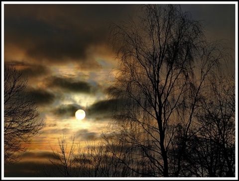 Kliknij na zdjęcie, żeby zobaczyć w pełnych wymiarach