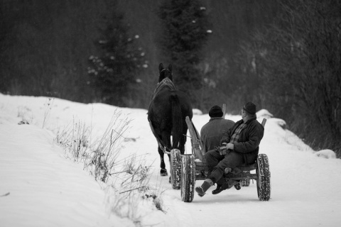 Kliknij na zdjęcie, żeby zobaczyć w pełnych wymiarach