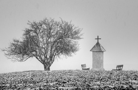 Kliknij na zdjęcie, żeby zobaczyć w pełnych wymiarach