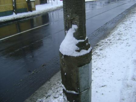 Kliknij na zdjęcie, żeby zobaczyć w pełnych wymiarach