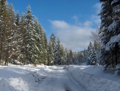 Kliknij na zdjęcie, żeby zobaczyć w pełnych wymiarach