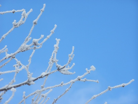 Kliknij na zdjęcie, żeby zobaczyć w pełnych wymiarach