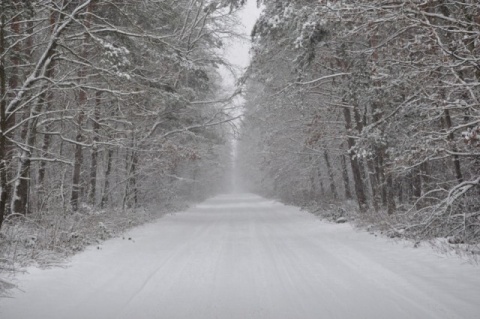Kliknij na zdjęcie, żeby zobaczyć w pełnych wymiarach