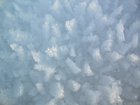 Kliknij na zdjęcie, żeby zobaczyć w pełnych wymiarach