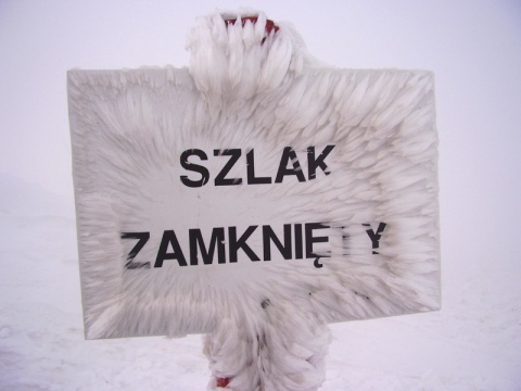 Kliknij na zdjęcie, żeby zobaczyć w pełnych wymiarach